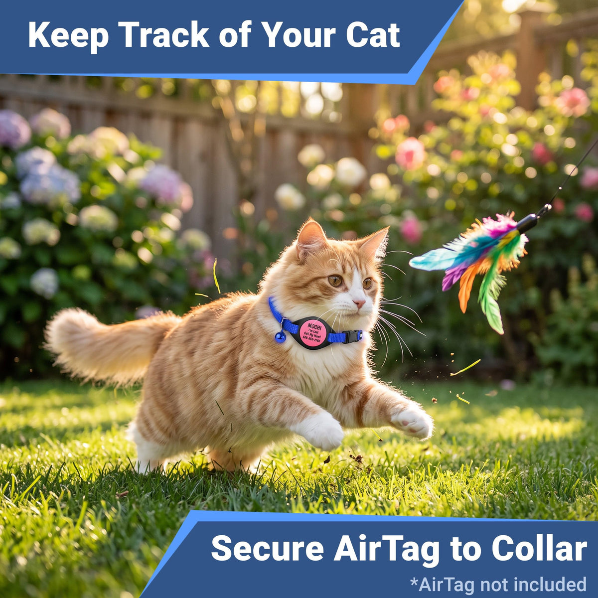 Reflective Breakaway Cat Collar H77583