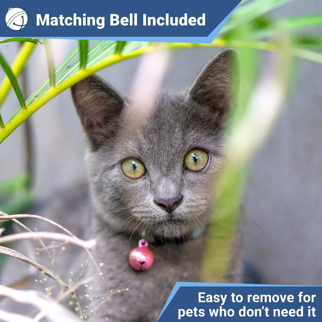 Reflective Breakaway Cat Collar H77583