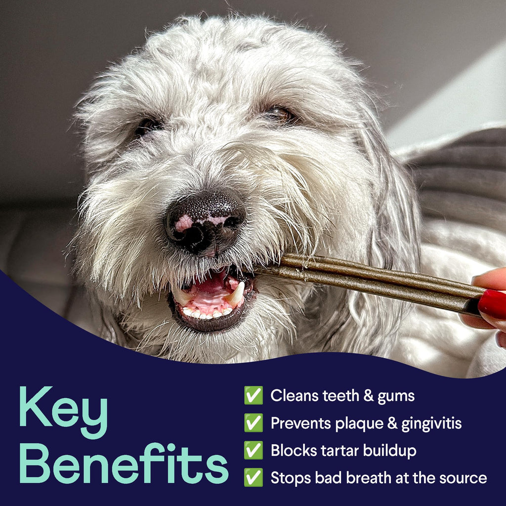 Dental Chews for Dogs 25+ lbs W158