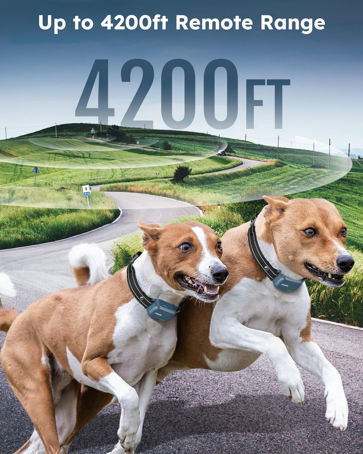 Dog Shock Collar with Remote W3472