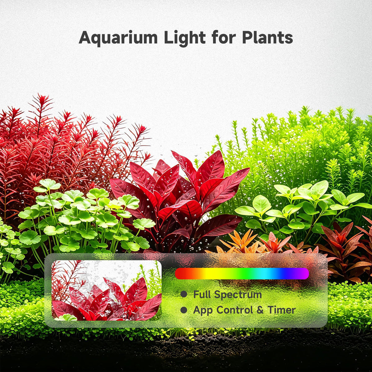 5 Gallon Smart Fish Tank Aquarium Kit M727637